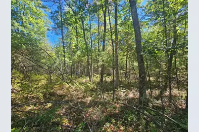 9F Pequawket Trail, Standish, ME 04084 - Photo 20