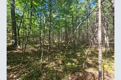 9F Pequawket Trail, Standish, ME 04084 - Photo 12