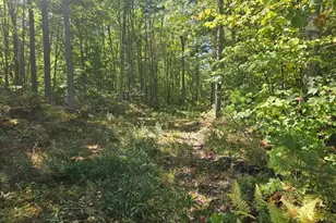 9F Pequawket Trail, Standish, ME 04084 - Photo 1