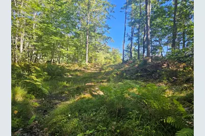 9F Pequawket Trail, Standish, ME 04084 - Photo 2