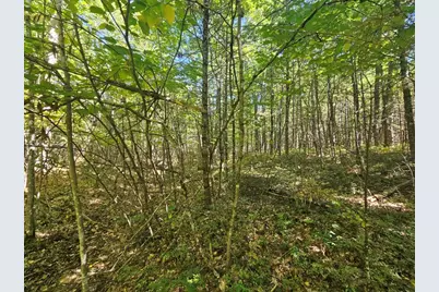 9F Pequawket Trail, Standish, ME 04084 - Photo 22