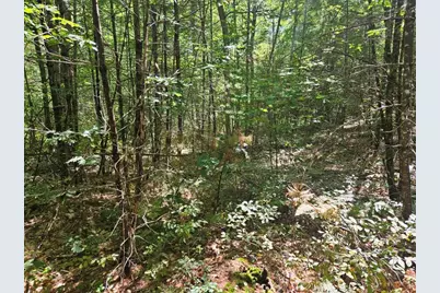 9G Pequawket Trail, Standish, ME 04084 - Photo 16