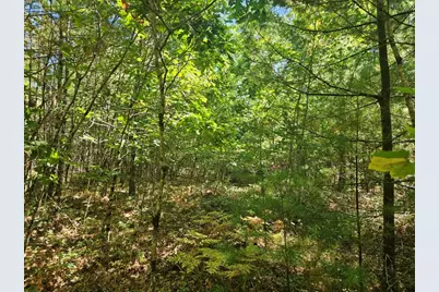 9G Pequawket Trail, Standish, ME 04084 - Photo 24