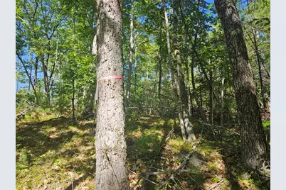 9G Pequawket Trail, Standish, ME 04084 - Photo 18
