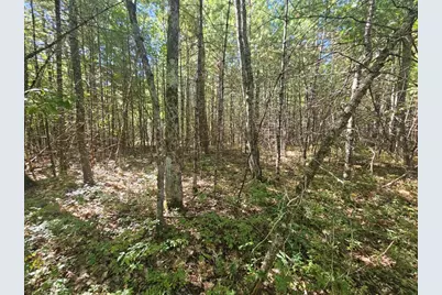 9G Pequawket Trail, Standish, ME 04084 - Photo 10