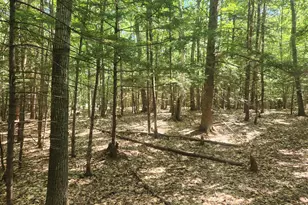 412 Greenwood Rd, Norway, ME 04268 - Photo 46