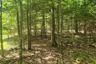 412 Greenwood Rd, Norway, ME 04268 - Photo 34