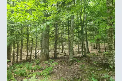 412 Greenwood Road, Norway, ME 04268 - Photo 56