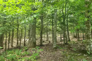412 Greenwood Rd, Norway, ME 04268 - Photo 56