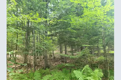 412 Greenwood Road, Norway, ME 04268 - Photo 58