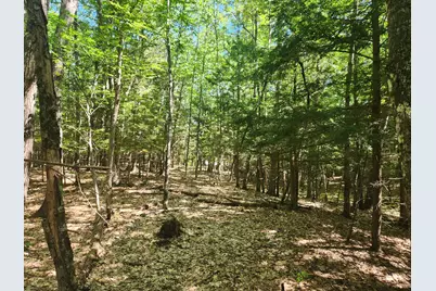412 Greenwood Road, Norway, ME 04268 - Photo 48