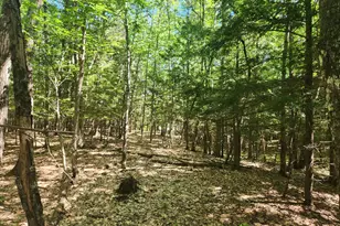 412 Greenwood Rd, Norway, ME 04268 - Photo 48