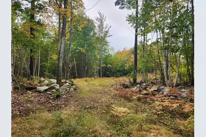 Lot 6 Willy's Way, Buckfield, ME 04220 - Photo 1