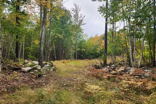 Lot 6 Willy's Way, Buckfield, ME 04220 - Photo 1