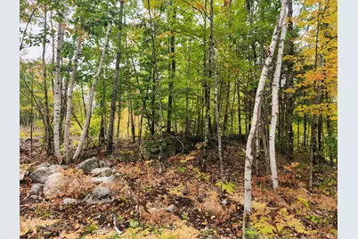 Lot 6 Willy's Way, Buckfield, ME 04220 - Photo 2
