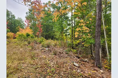 Lot 6 Willy's Way, Buckfield, ME 04220 - Photo 6
