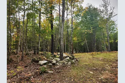 Lot 6 Willy's Way, Buckfield, ME 04220 - Photo 4