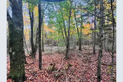 50 Richmond Road, Turner, ME 04282 - Photo 6