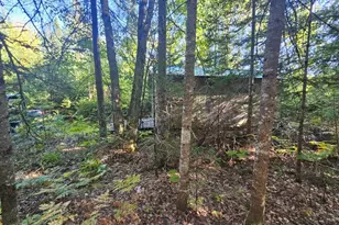 M11L1 Wilder Davis Rd, Hudson, ME 04449 - Photo 1