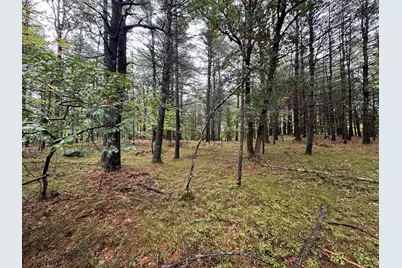 Lot 61.3 Sand Pond Road, Limington, ME 04049 - Photo 4