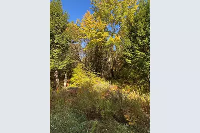 Lot #13 Pine Grove Lane, Etna, ME 04434 - Photo 6