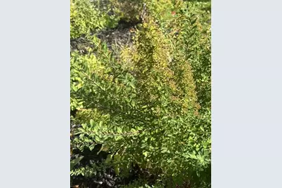 13 W Park Street, Bangor, ME 04401 - Photo 22