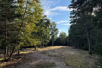 Lot 3 Sophies Way, Tremont, ME 04653 - Photo 8