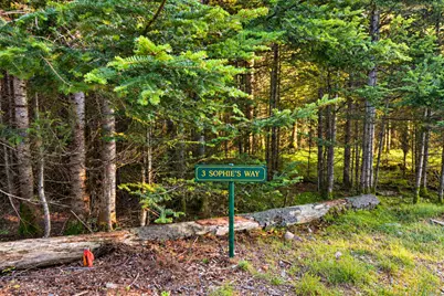 Lot 3 Sophies Way, Tremont, ME 04653 - Photo 6