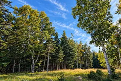 Lot 3 Sophies Way, Tremont, ME 04653 - Photo 10