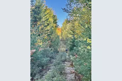 Lot 4 Number 7 Road, Steuben, ME 04680 - Photo 8