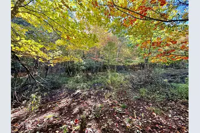 Lot 4 Number 7 Road, Steuben, ME 04680 - Photo 6