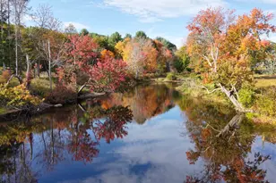780 Main St, Waldoboro, ME 04572 - Photo 8