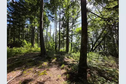 6 Jipony Way, Lakeville, ME 04487 - Photo 34