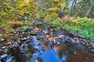 777 Bancroft Rd, Weston, ME 04424 - Photo 48
