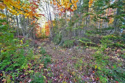 777 Bancroft Road, Weston, ME 04424 - Photo 60
