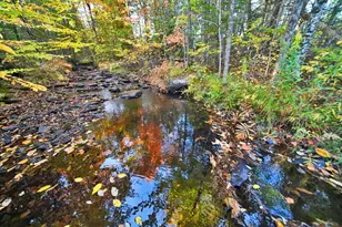 777 Bancroft Rd, Weston, ME 04424 - Photo 46