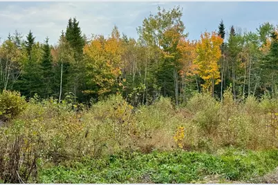 Lot 28 Huntley Lane, Machias, ME 04654 - Photo 14