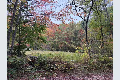 Lot 13-B2 S Town Farm Road, Oxford, ME 04270 - Photo 2