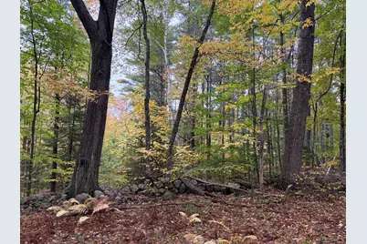 Lot 13-B2 S Town Farm Road, Oxford, ME 04270 - Photo 16