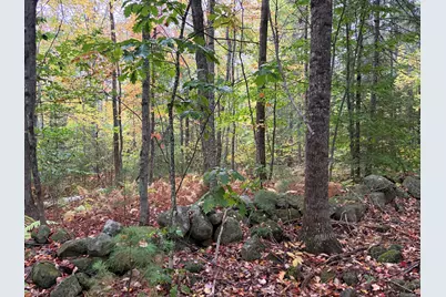 Lot 13-B2 S Town Farm Road, Oxford, ME 04270 - Photo 10