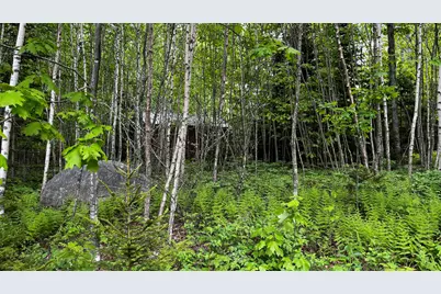 Lot 16 North Ridge Road, Cushing, ME 04563 - Photo 12