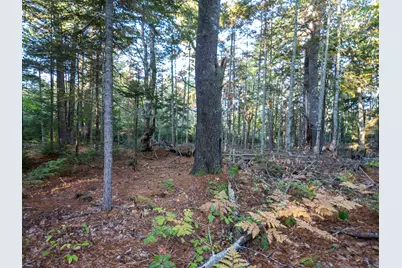 213/17/1 Knox Road, Bar Harbor, ME 04609 - Photo 4
