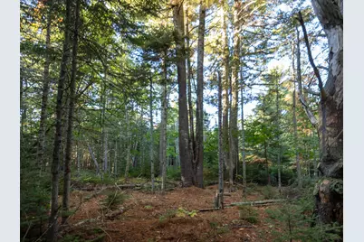 213/17/1 Knox Road, Bar Harbor, ME 04609 - Photo 6