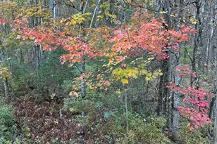 0 McCaslin Rd, China, ME 04358 - Photo 10