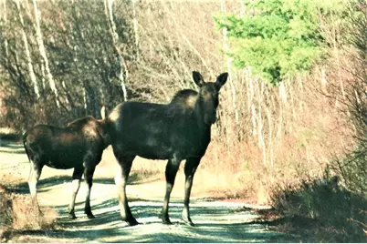 M4L6 Drinkuth Lane, Mexico, ME 04276 - Photo 22