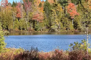 Map 302 Lot 70 Owlsboro Rd, Dexter, ME 04930 - Photo 1
