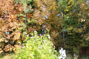 2081 County Rd, Ludlow, ME 04730 - Photo 22