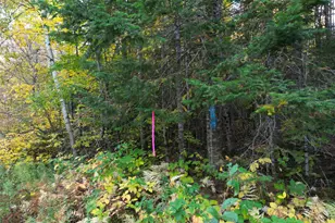 Lot 1-2 West Tucker Ridge Rd, Springfield, ME 04487 - Photo 1
