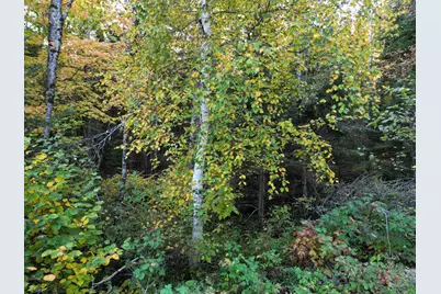 Lot 1-2 West Tucker Ridge Road, Springfield, ME 04487 - Photo 18