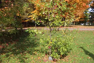 16 Pleasant St, Patten, ME 04765 - Photo 20